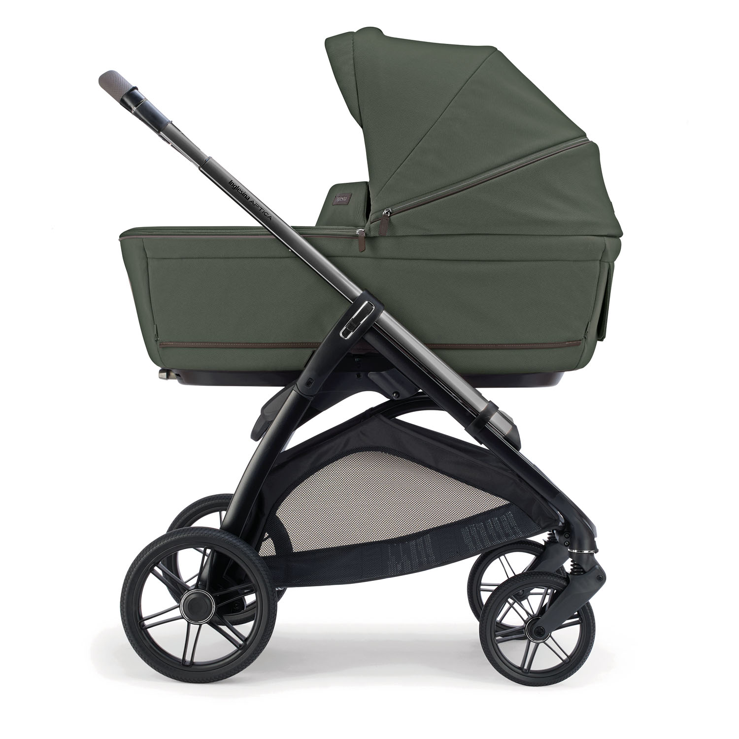 APTICA CULLA LATERALE Ivy Green