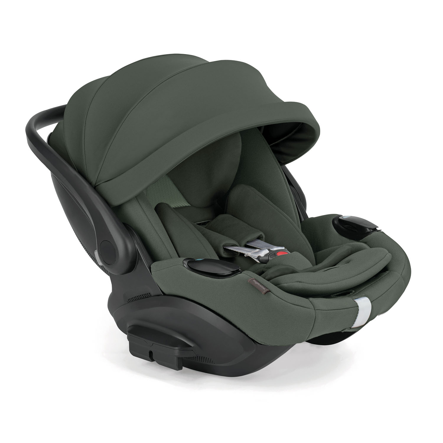 APTICA INFANT RECLINE_Ivy Green